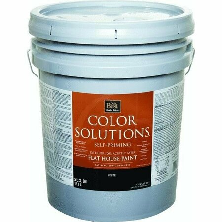 WORLDWIDE SOURCING Color Solutions Latex Flat Self-Priming Exterior House Paint CS45W0701-20